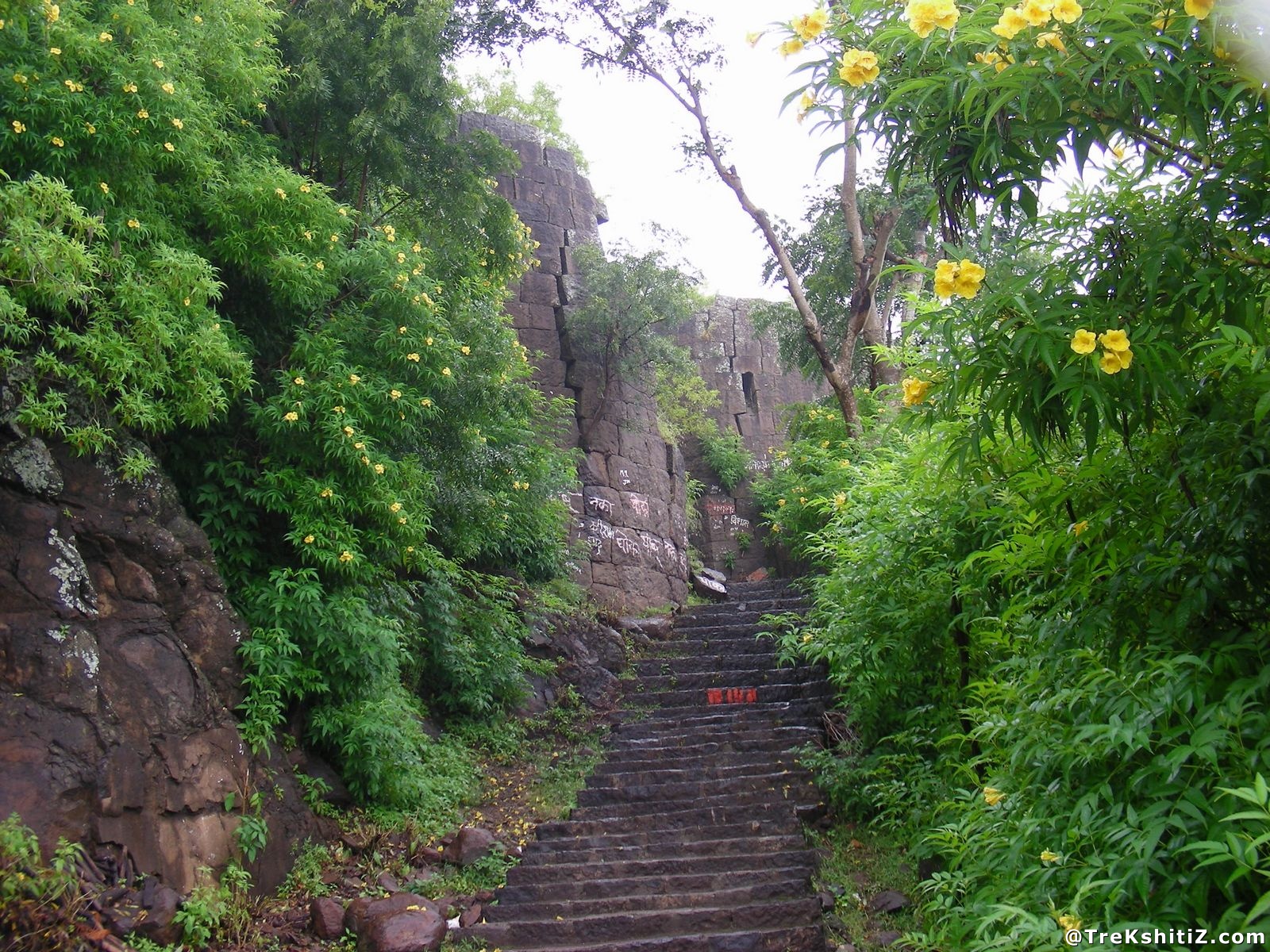 Bhushangad