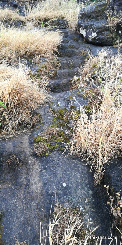 Bitangad