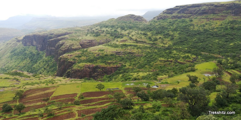 Bitangad