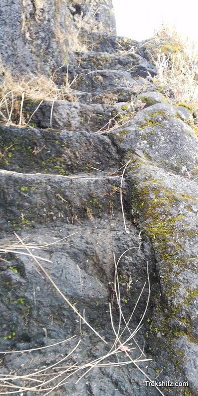 Bitangad