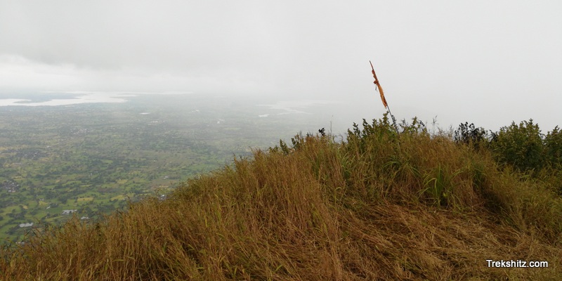 Bitangad