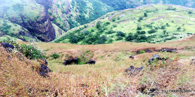 Bitangad