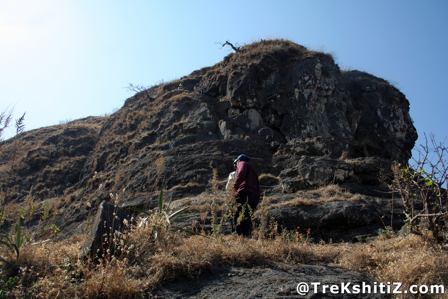 Bitangad