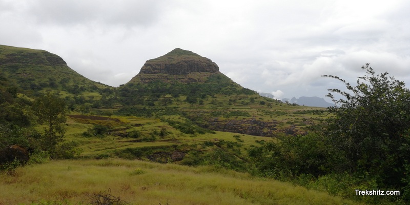 Bitangad