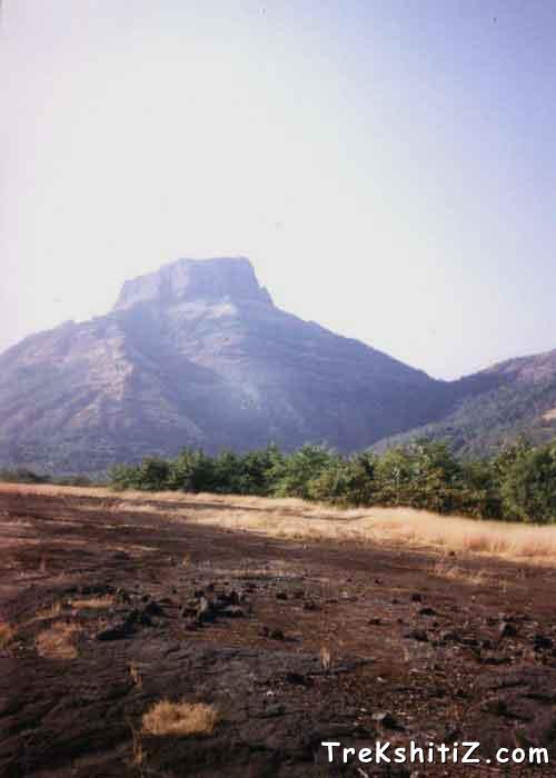 Fort of Chanderi.