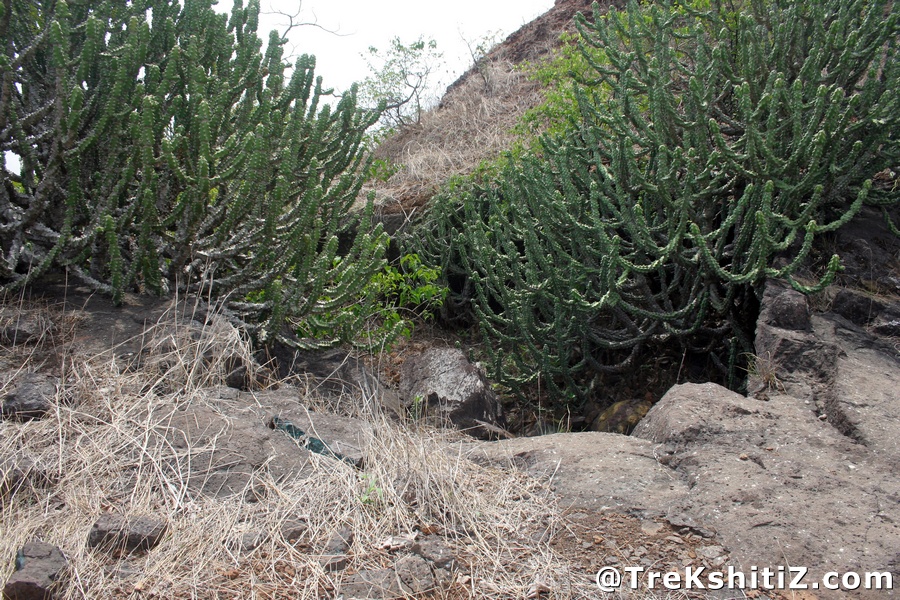 Dehergad (Bhorgad)
