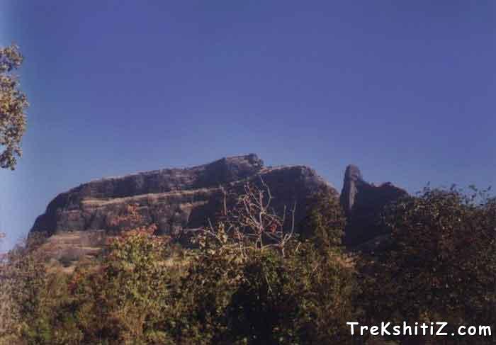 Dhak From Sandshi Village