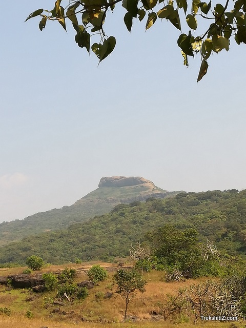 Dhakoba