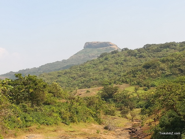 Dhakoba