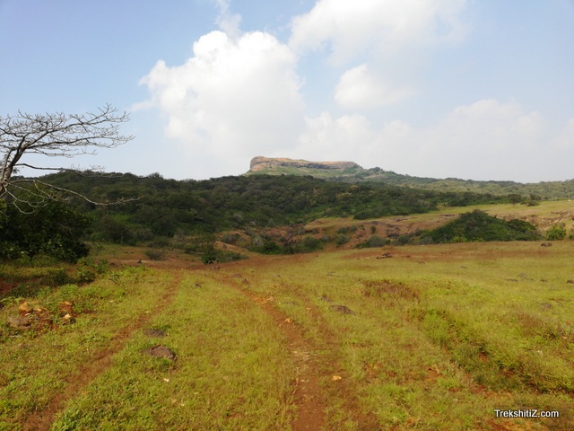 Dhakoba