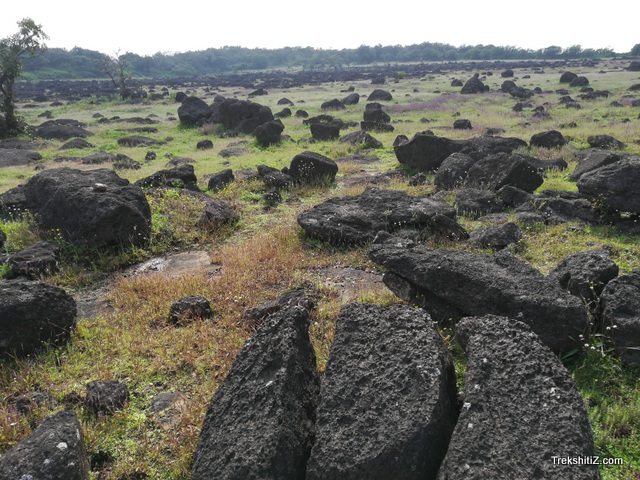 Dhakoba