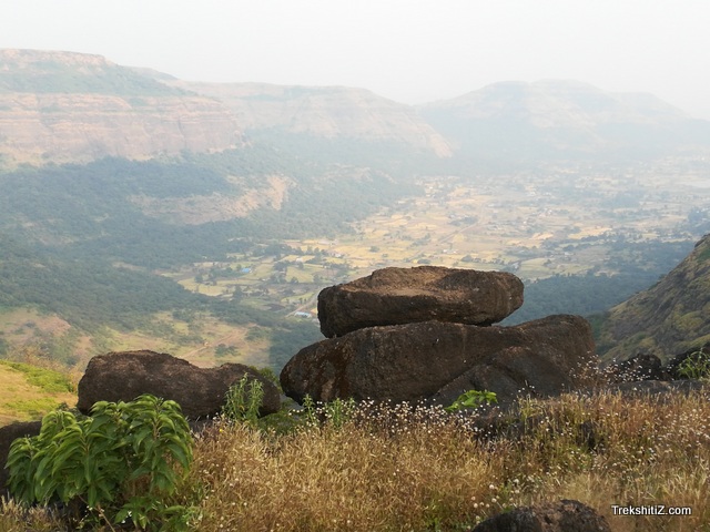 Dhakoba