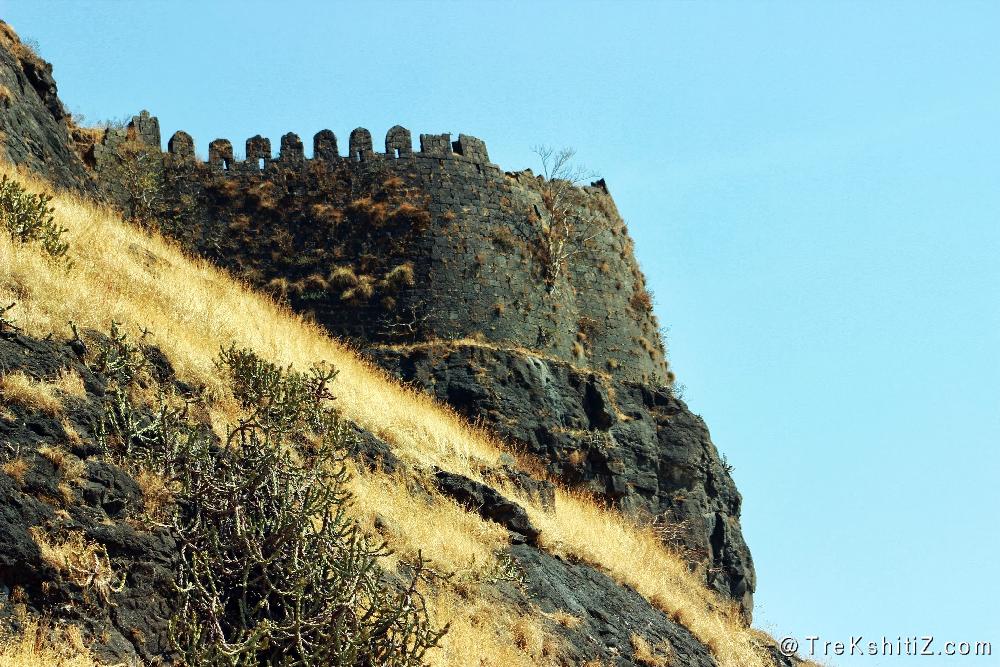 Dhodap