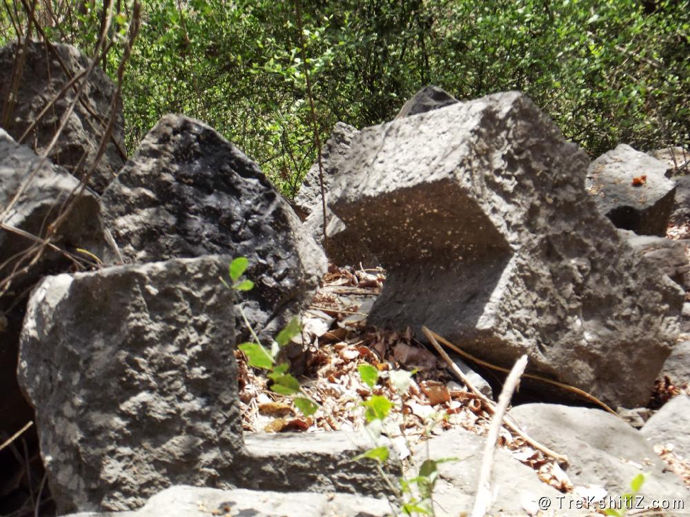 Ruins of Dronagiri Fort