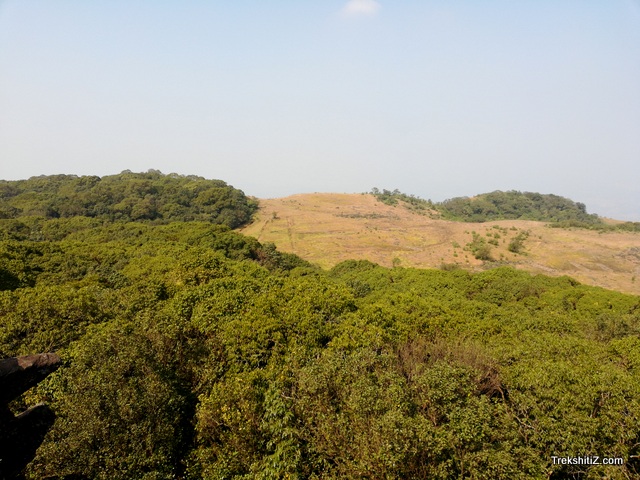 Kokan kada of Durg
