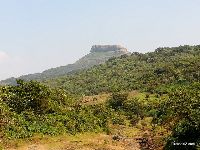 Dhakoba from Durg