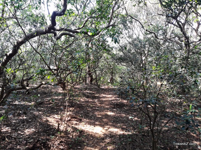 Way to Durg from temple