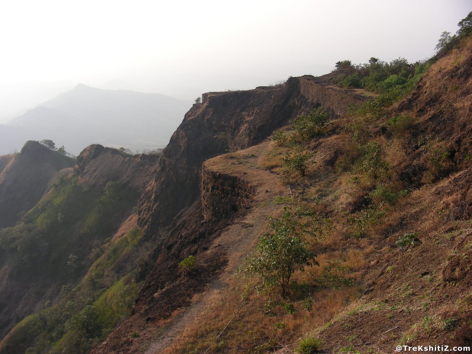 Gagangad