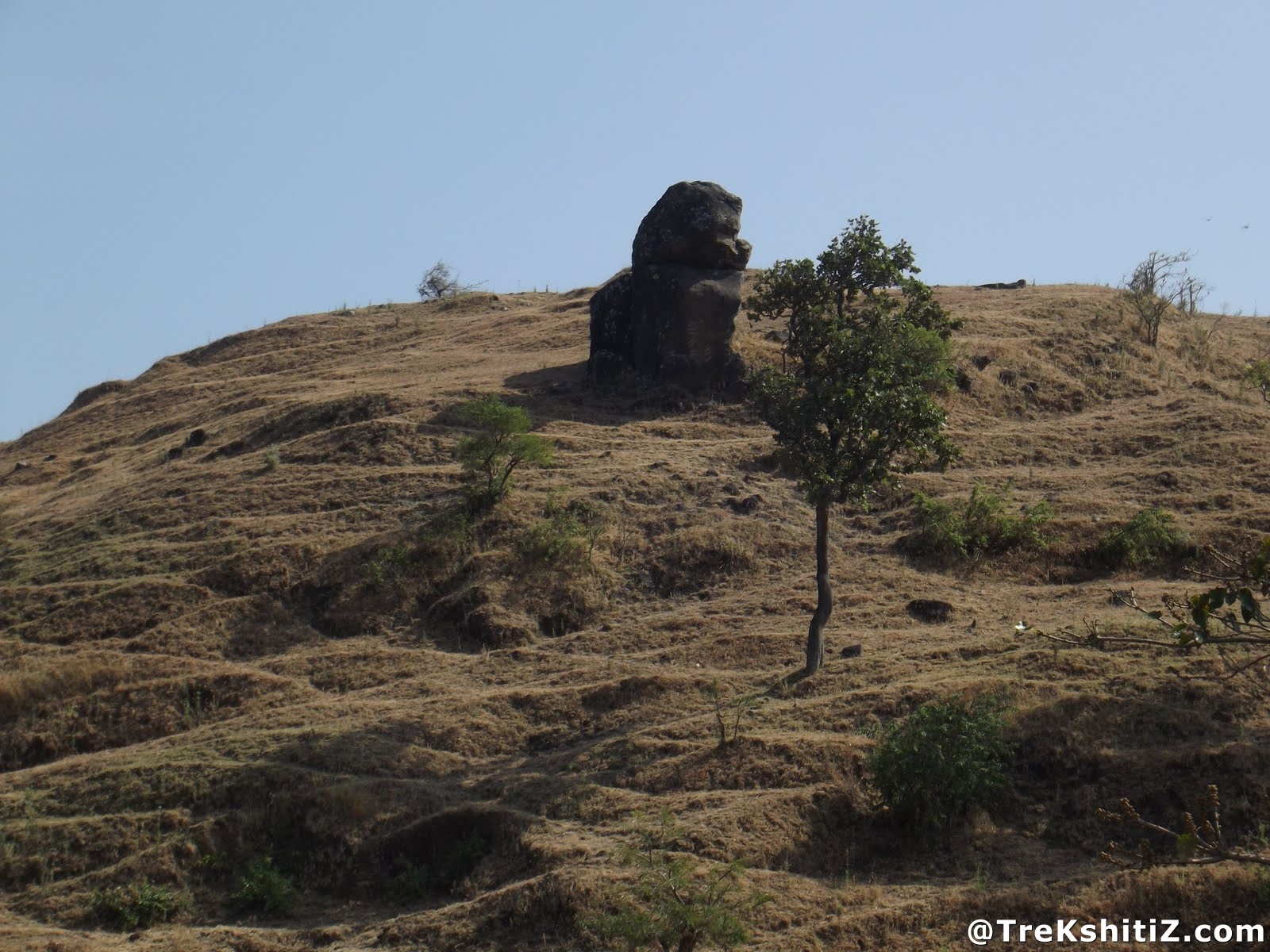 Gavilgad