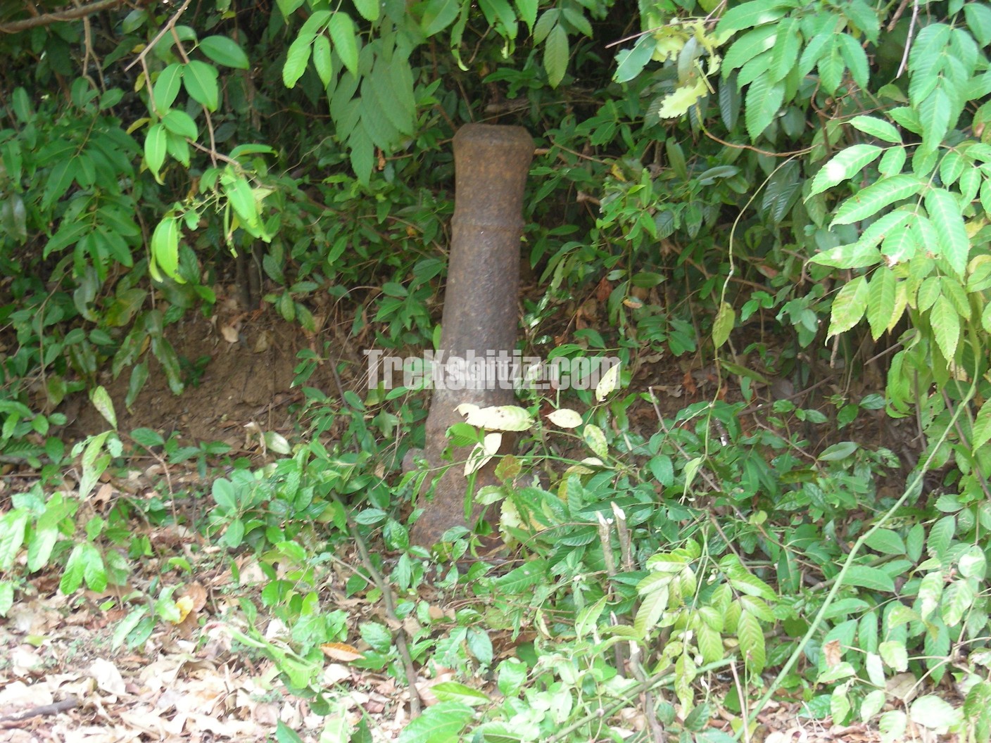 Cannon in base village Fukeri Hanumantgad