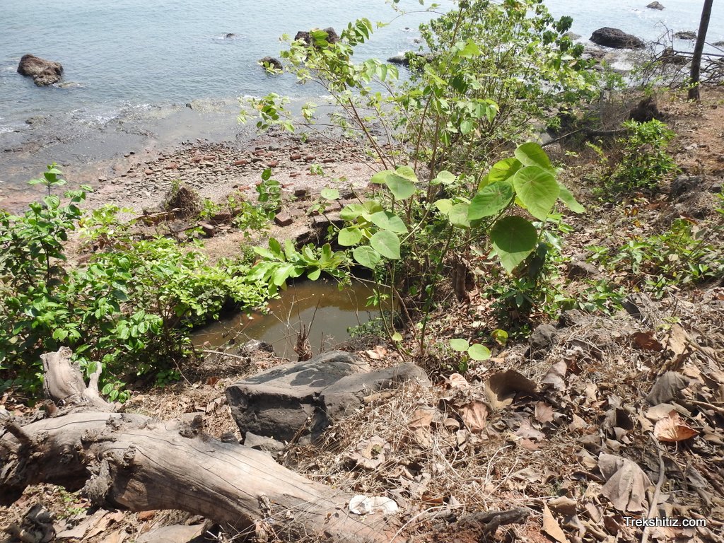 Well near seaJaigad