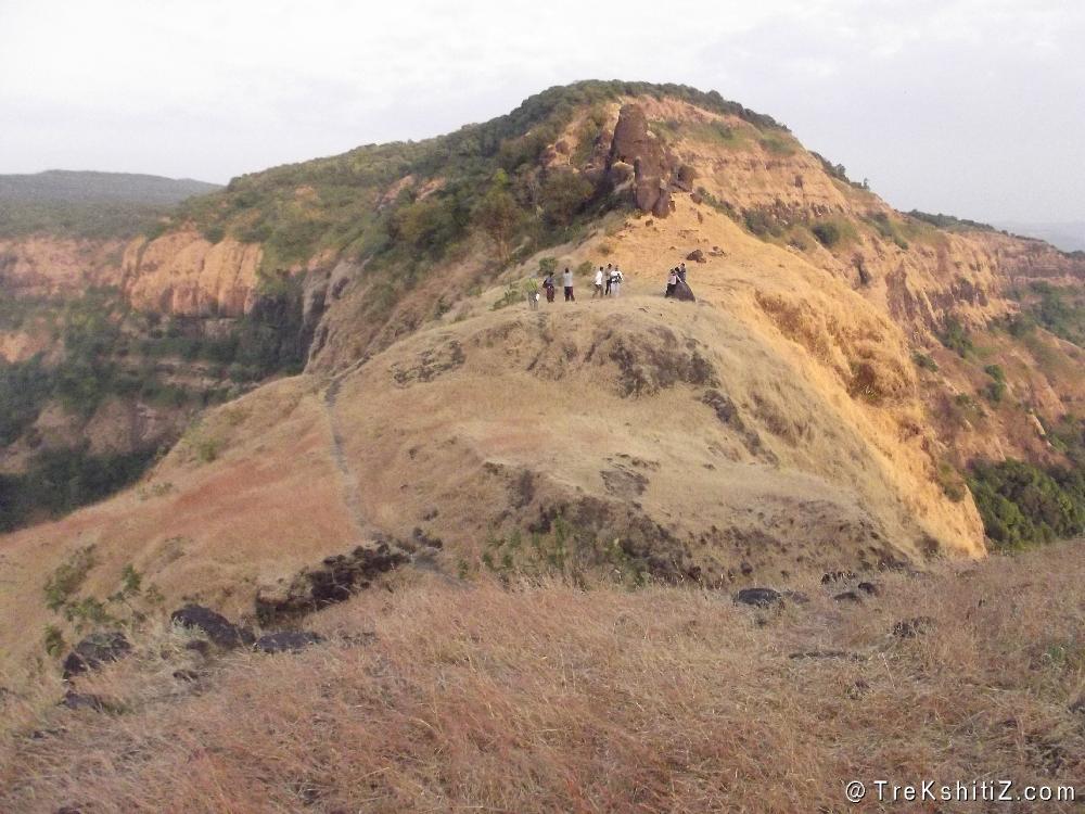 Jangli Jaigad