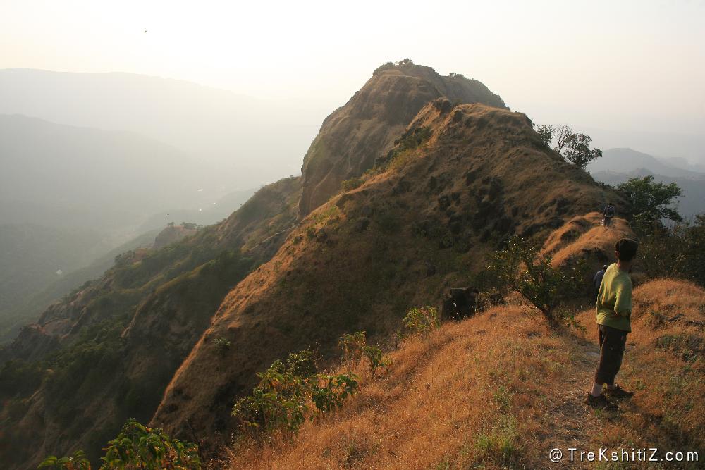 Jangli Jaigad