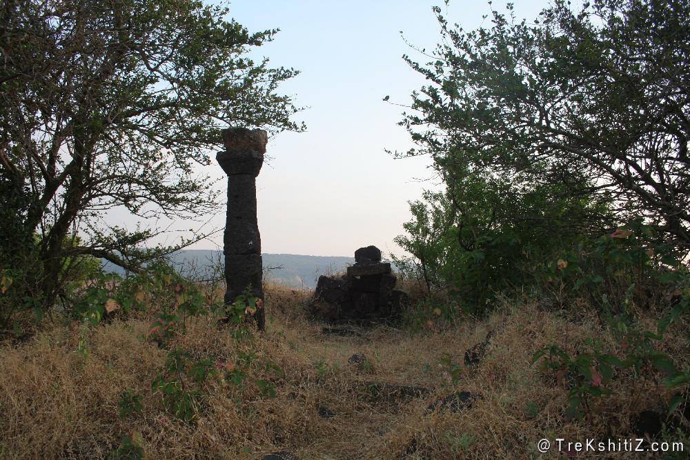 Jangli Jaigad