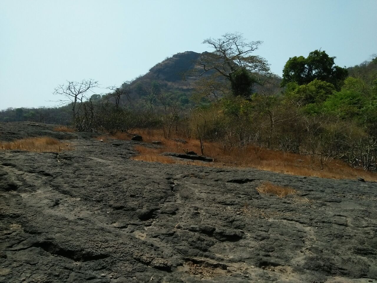 Kaldurg