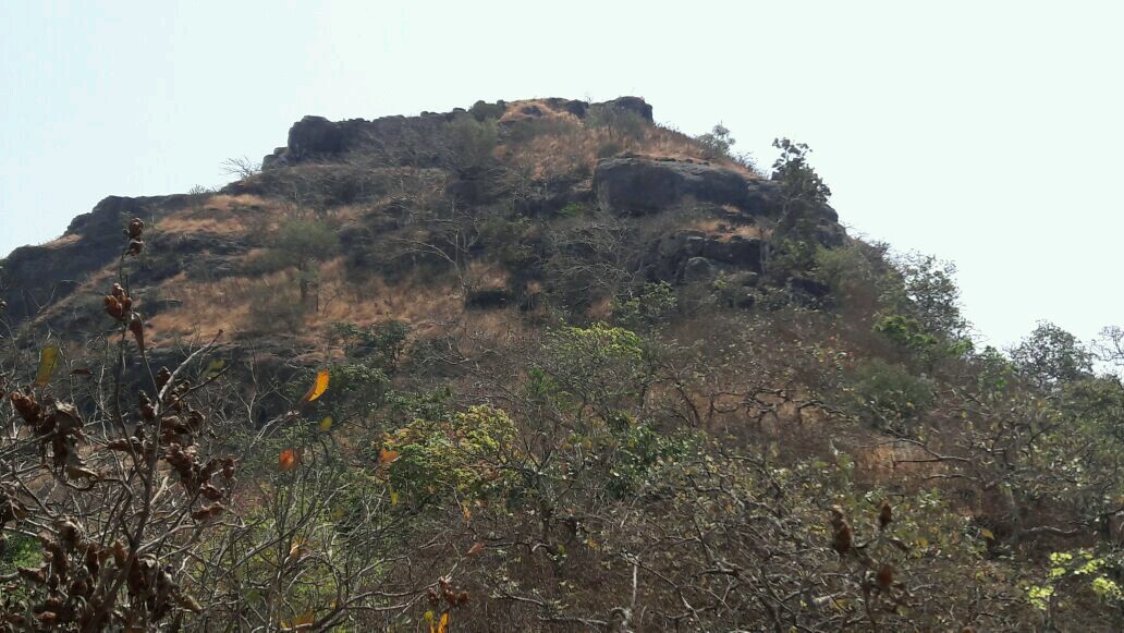 Kaldurg