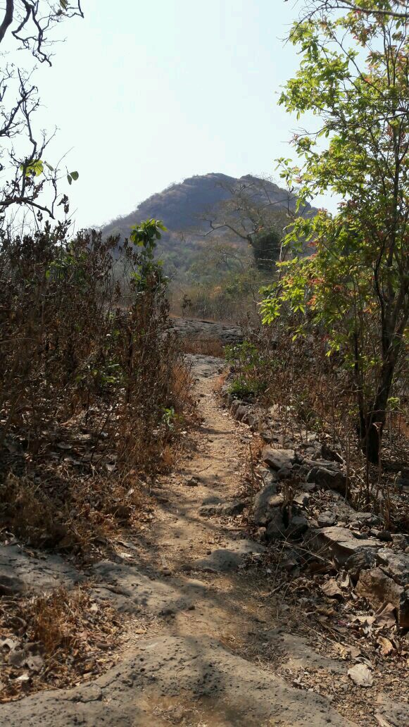 Kaldurg
