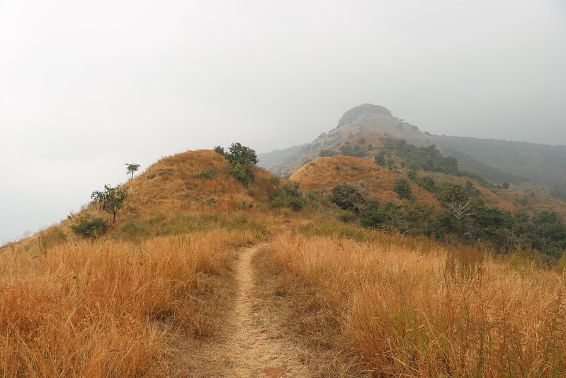Kamalgad