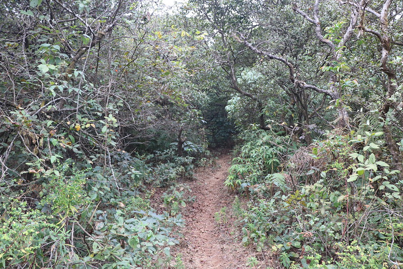 Kamalgad