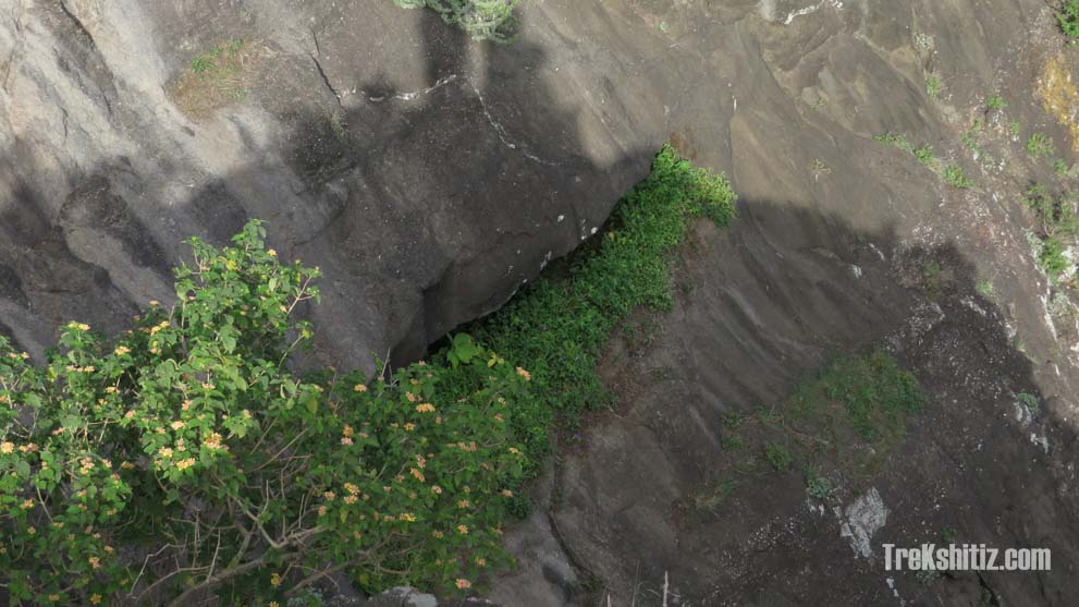 Katra