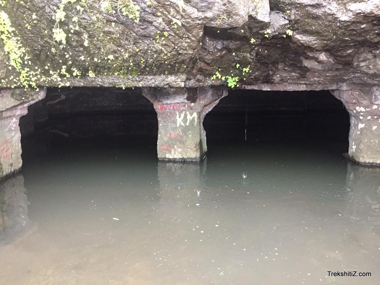 Kohoj