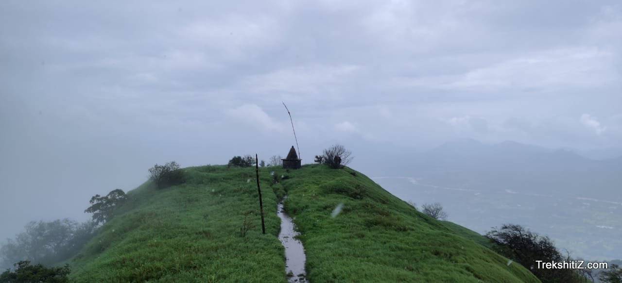 Kohoj