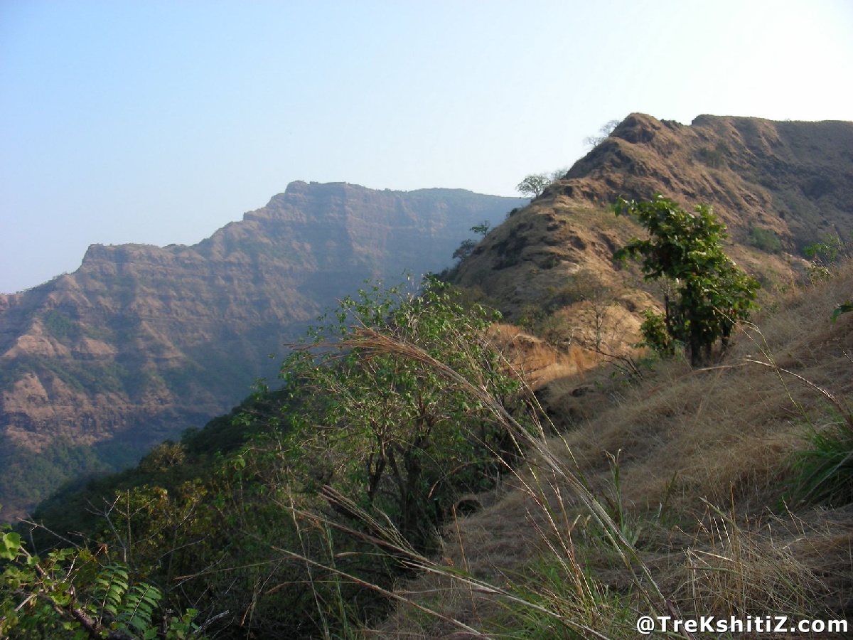 Kolkewadi