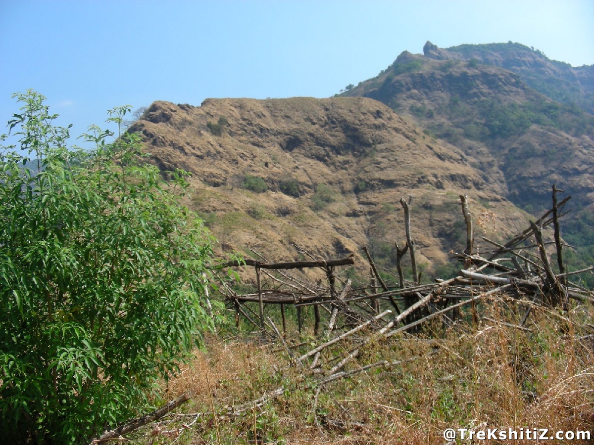 Kolkewadi
