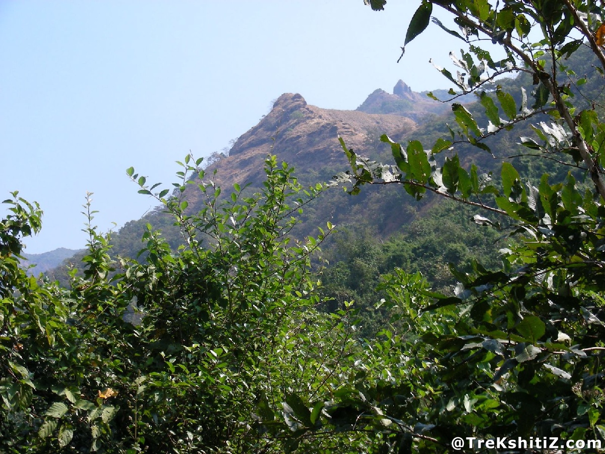 Kolkewadi