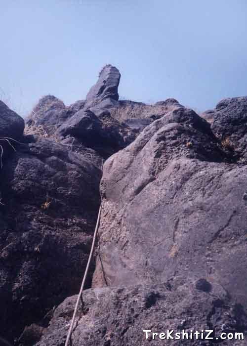 Lingana Pinnacle