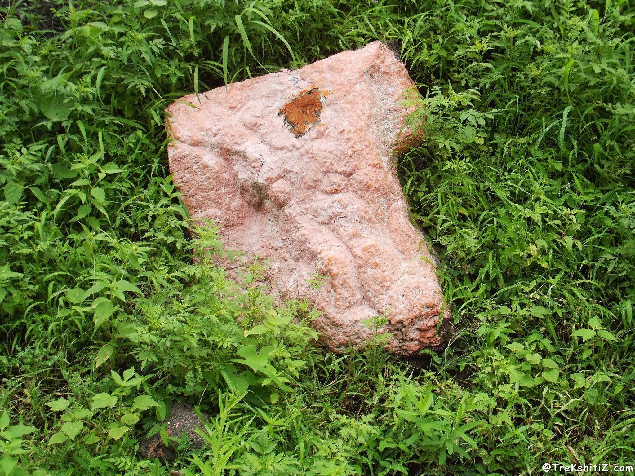 Lonza