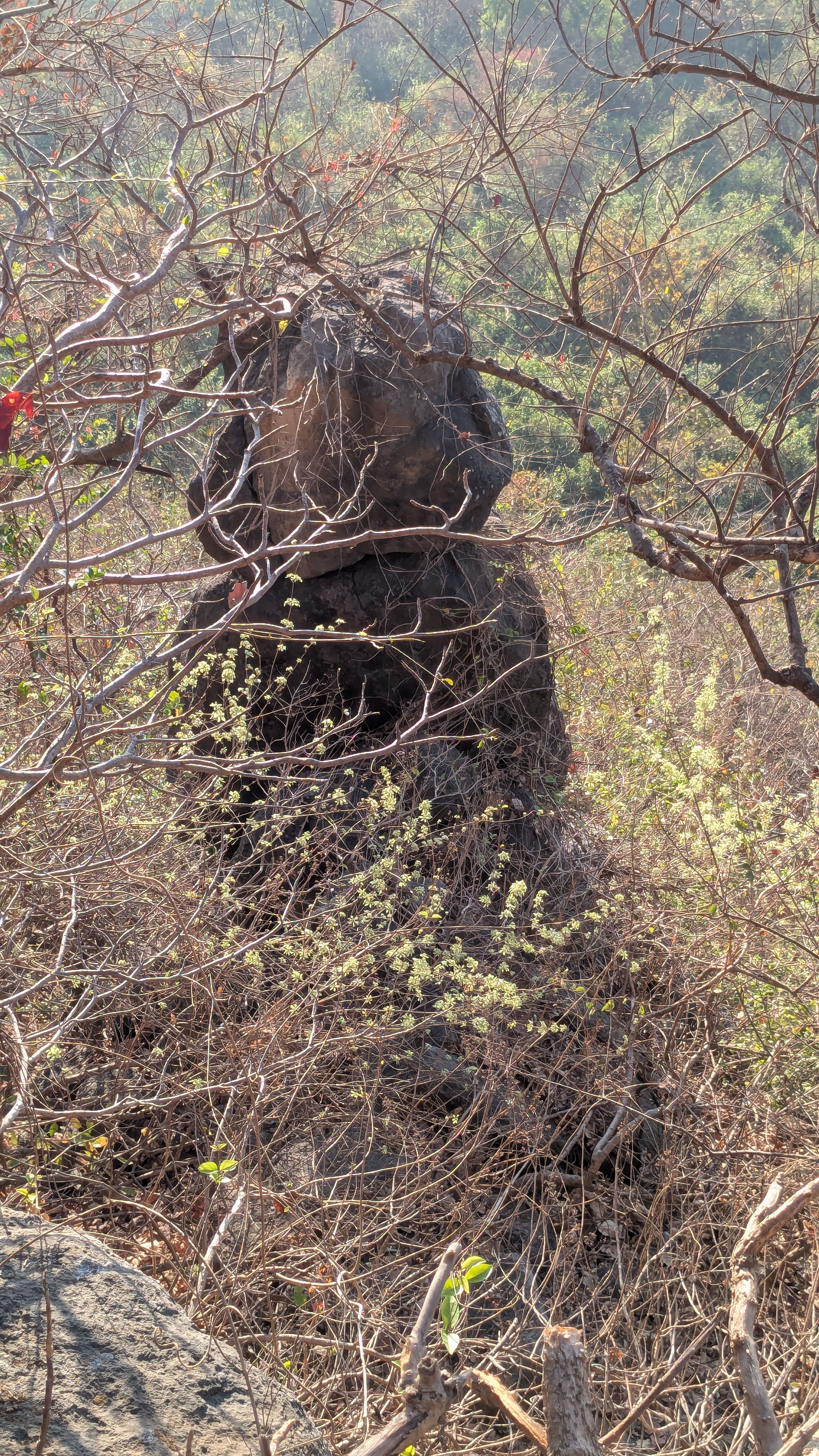 काळकाई देवी सुळका Madgad