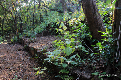 Mahipatgad