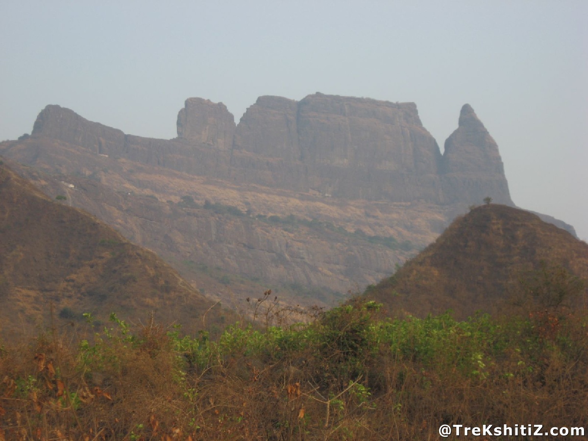 Malanggad