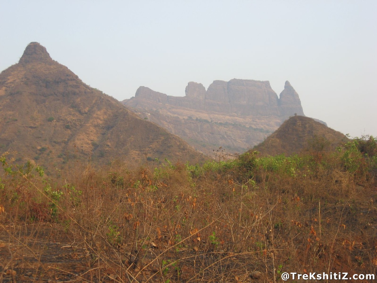 Malanggad