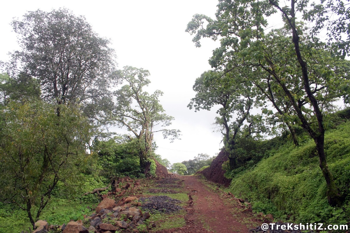 Mandangad