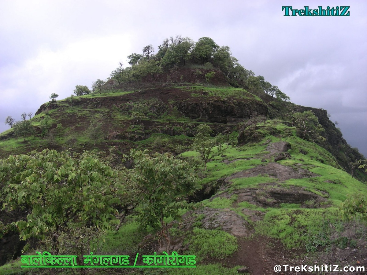 Mangalgad