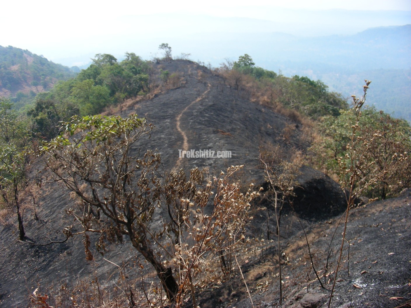 Manikdurg
