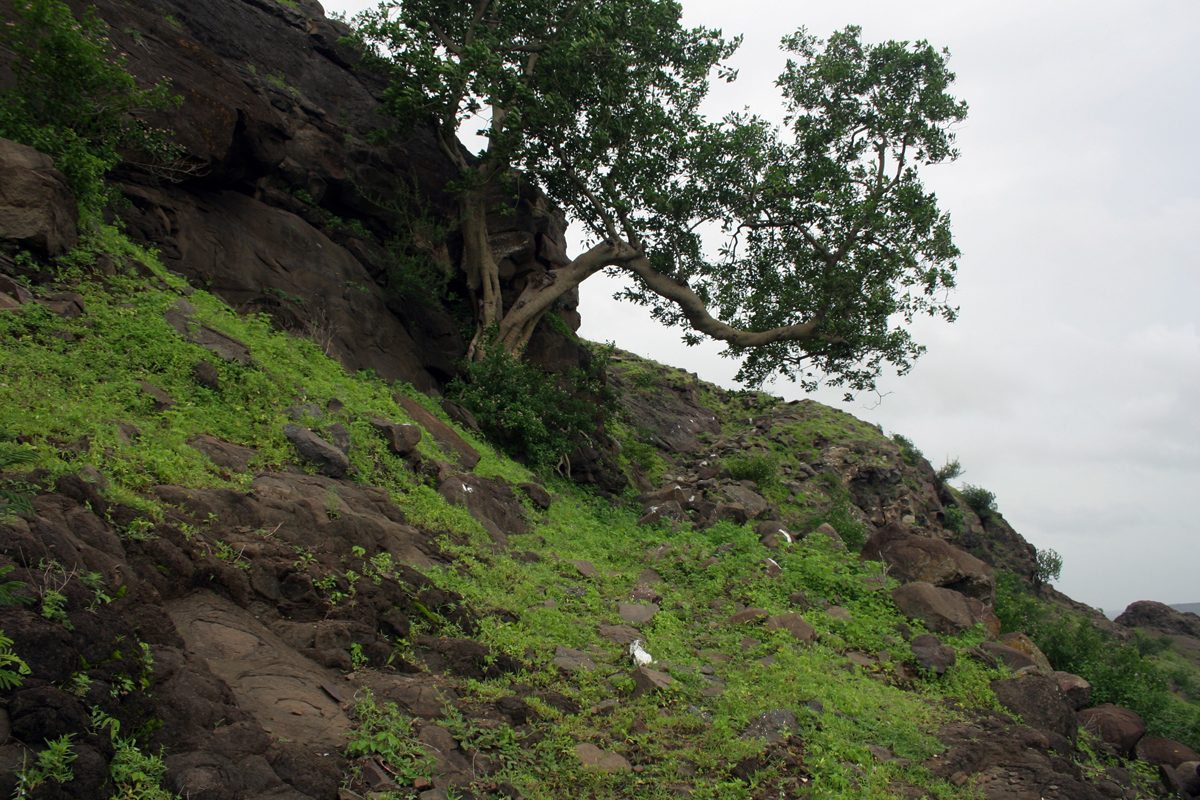 Manikpunj