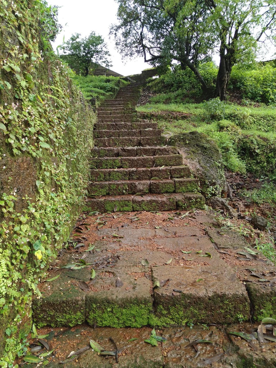 Mirgad(Songir)